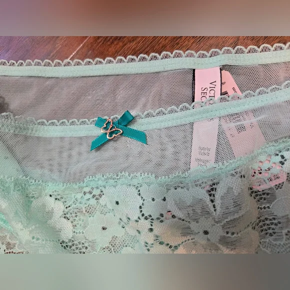 NWT Victoria’s Secret Body By Victoria Mint Floral Lace Mesh Hiphugger Panty L - Picture 3 of 6